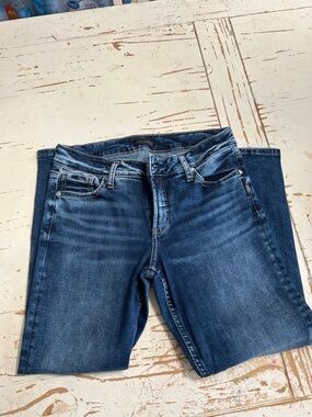 Silver Jeans Women's Skinny Jeans in Faded Blue Wash